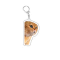 Funny Cat Memes Series Keychain Student Gift Bag Lanyard Women'S Bag Pendant Keychain Cute Things Cheap Gift for Best Friends